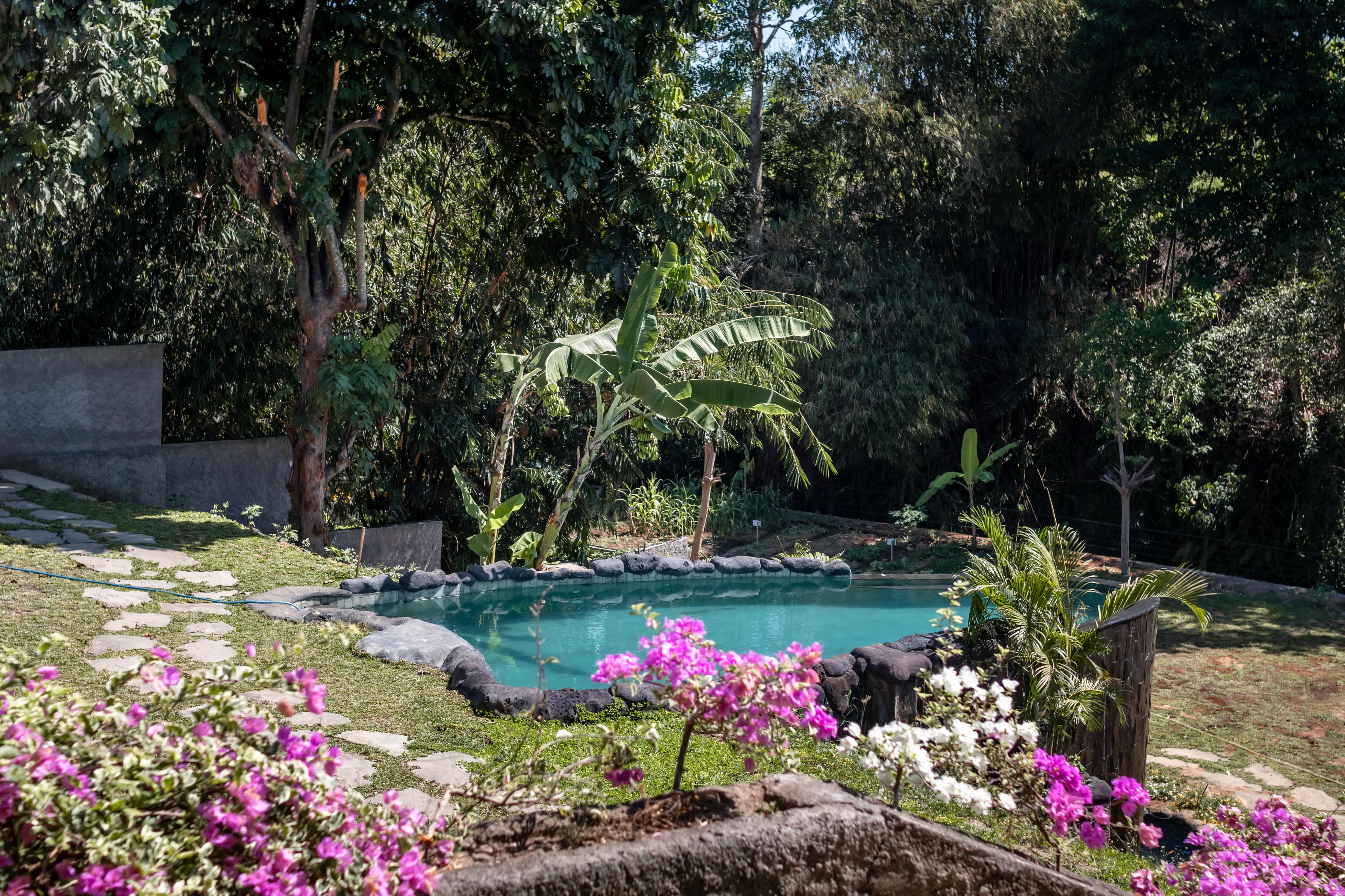 Outside view of lawn with swimming pool for yoga teacher training in bali